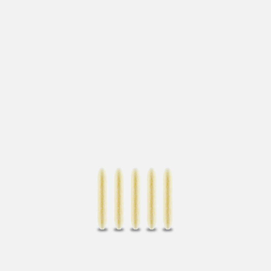 Montana Acrylic Replacement Nibs 2MM Pack of Five