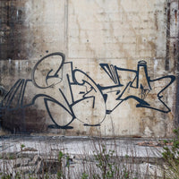 Montana Black Artist Edition Smash137 400ML
